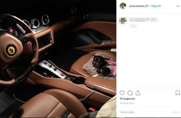 Gignac'n sahte kimliiyle yaratt lks hayat Mays 2017'de, Miami'de lks bir otele yatrm yapmak istemesiyle kmeye balad.      