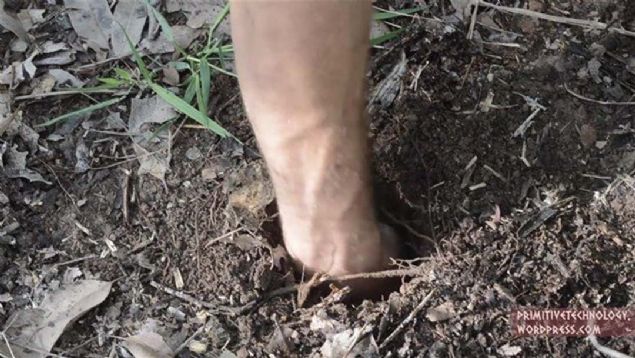 nternetten paylat ve milyonlar hayran brakt!    