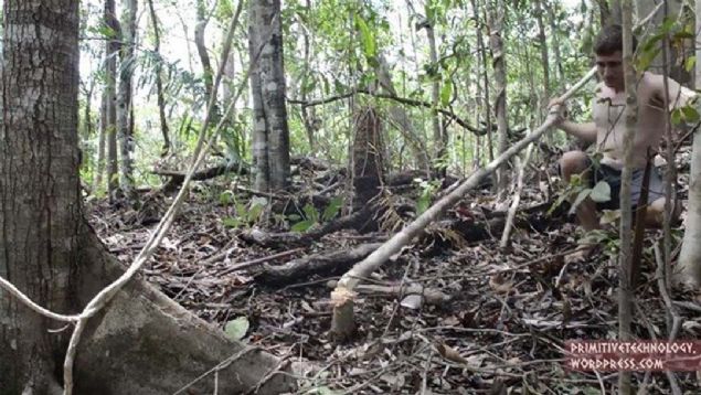 Son yzyllarda zellikle metropol hayatlar bizi doadan uzaklatrd. Yine de kimileri bazen bir dan banda bazen ormann iinde yaayarak bunu deneyimliyor.    
