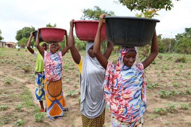 Bat Afrika lkelerinden Nijerya'da temiz suya ulamakta glk eken halk, gletlerden topladklar yosun tutmu amurlu sular Trkiye'de 'ap ta' olarak bilinen tala temizleyerek iiyor.   