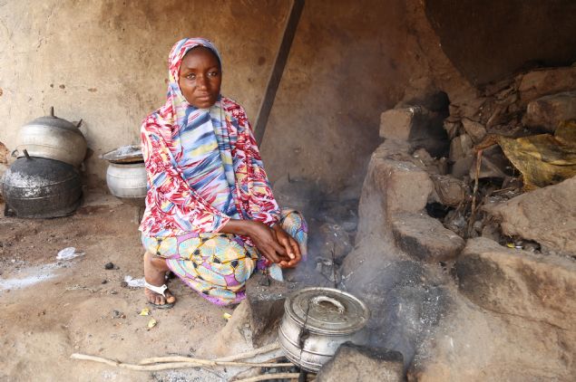 Yaadklar blgede temiz su olmadn belirten Sleyman, 'Gletlerden topladmz su temiz deil ve bu nedenle suyu kovalarla eve getirdikten sonra alum ta ile temizliyoruz.' dedi.   