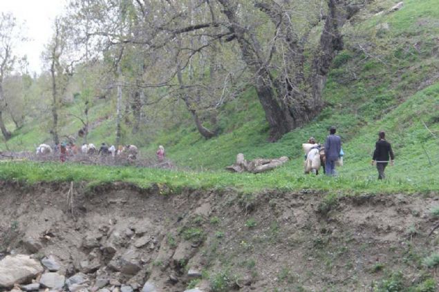 Da� mantar�n�n besin de�eri olduk�a y�ksek oldu�unu belirten k�yl�lerden Orhan Beyan ise, lezzet ve �ifa kayna�� mantar�n bir�ok derde deva oldu�unu kaydetti.  