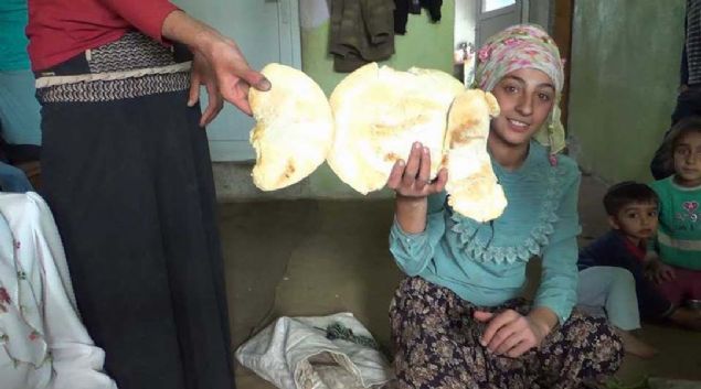 �irvan il�esi Elmadal� k�y�nde vatanda�lar, karlar�n erimesi sonras� ortaya ��kan da� mantarlar�n� toplamaya ba�lad�.  