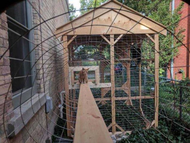 Evin iinde ufak bir alanda kedilerine yer hazrlamak yerine onlara daha huzurlu ve zgr bir yaam sunmak isteyen hayvanseverlerin herkese rnek olacak tasarmlar... 