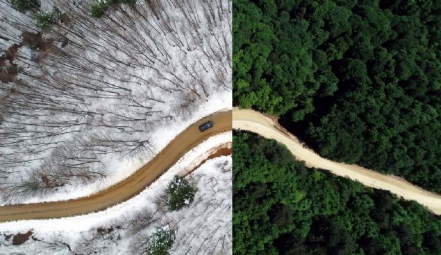 Kayseri'deki Erciyes Kayak Merkezi yolu ve Hisarck mevkisindeki virajlar, Kayseri'deki Kocasinan Bulvar ile Mustafa Kemal Paa Bulvar'nn kesitii 'yonca kavak',  