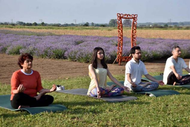 Lavanta kokusunun faydal olduunu anlatan Kocaba da '15 kiilik ekibimizle etkinliimizi gerekletirdik...  