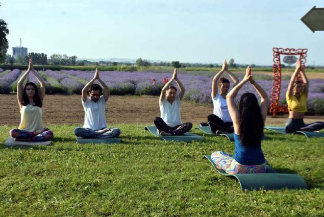 Seansmz bir saat srd. Lavanta tarlasnda olduumuz iin ok mutluyuz. Kokusu gzel, stresimizi ald...  