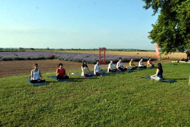 Sabah erkenden yoga yapan grup daha sonra mesailerine balad.     