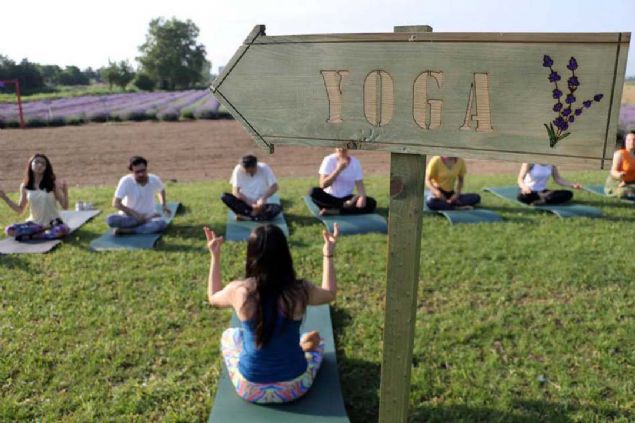 Edirne Turizm ve Tantma Dernei Bakan Blent Bacolu, yapt aklamada, 'Edirne Lavanta Tarla Gnleri' kapsamnda 3 seans yoga etkinlii dzenleyeceklerini syledi.   
