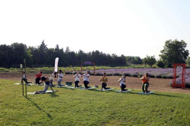Trakya Tarmsal Aratrma Enstits bahesindeki lavanta tarlasna gelen grup, yoga eitmeni Cansel Karaba ynetiminde nefes ve beden egzersizi yapt.     