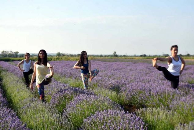 Katlmclardan Begm oban, lavanta tarlasnda mis kokular ierisinde yoga yapmann huzur verdiini kaydetti. 