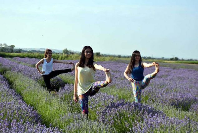 Herkese nerim sabah yoga yapmay tercih edin, hayatnza yogay sokun.' diye konutu.     