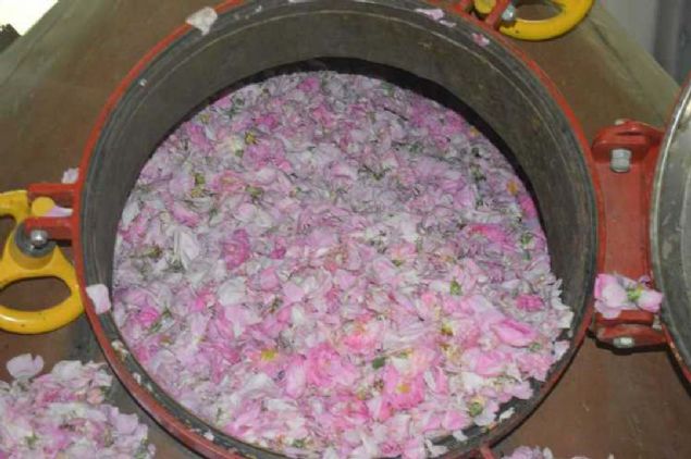 Bizim gl yalarmzda kesinlikle hibir kalnt sz konusu deildir. Konvansiyonel gl yann kilogram 9 ila 12 bin avro arasnda iken, ekolojik gl yann fiyat 12 ila 15 bin avro arasnda deiiyor.'  