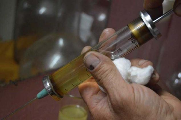 u anda in'deki baz firmalarla ciddi temas halindeyiz. Elimizde 100 kilogramn zerinde gl ya var. nallah yaknda in'e ihracat yapmay planlyoruz.' 