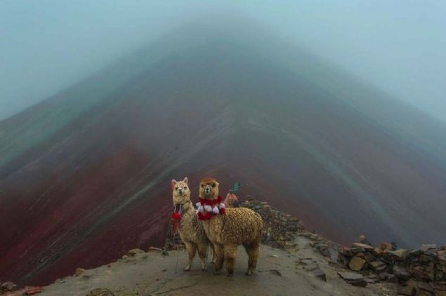 Fotoraf: Brian Larrosa      