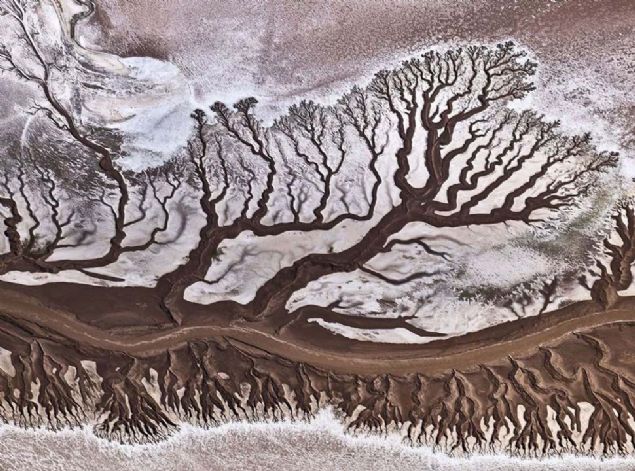 Fotoraf: Stas Bartnikas    