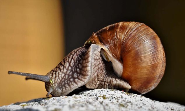 'Bu sistemde yapma kuvvetinin, malzemenin i yzeyine, zellikle yzeye yakn zelliklere dayandn, pratik uygulamalar iin tersinirlik ve lekleme kolayl saladn gsterdik.' dedi. 