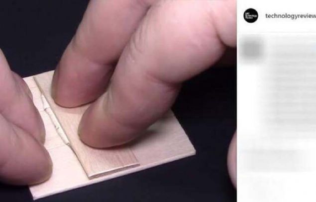 stne de bir baka tahta paras ilave ediyoruz.    