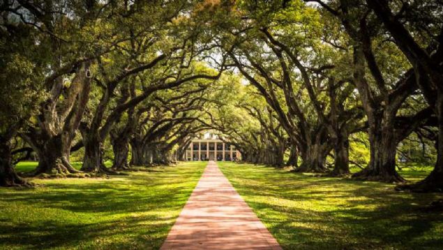 Mee Geidi, New Orleans, Louisiana, ABD   