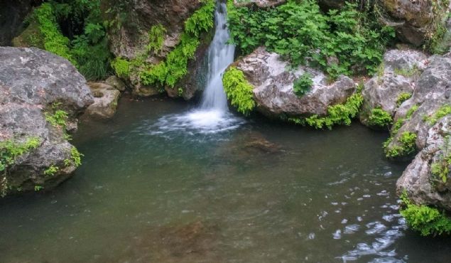 �elaleyi ke�fedenlerin buradan vazge�emedi�ini belirten Aldemir, 'Buraya bir gelen, g�zelli�i g�ren tekrar tekrar geliyor. �zellikle do�a tutkunlar�n�n adresi oluyor.' diye konu�tu.  