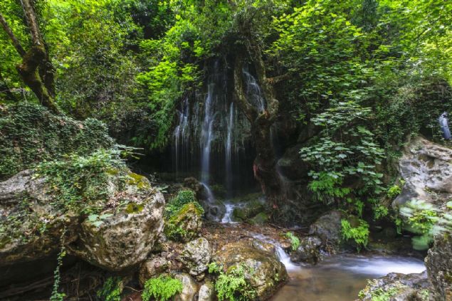 Mahalle sakinlerinin b�lgeye sahip ��kt���n� aktaran Aldemir, orman i�inde gizlenen g�zelli�in Antalyal�lar taraf�ndan da �ok iyi bilinmedi�ini ifade etti. 