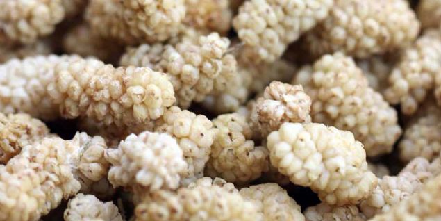 Dut meyvesi beyaz ve krmz (kara dut) olmak zere 2 eidi vardr. Direk dalnda ilenmeden yenebildii gibi pekmezi, pestili, marmelat,hatta sucuu dahi yaplabilmektedir.      