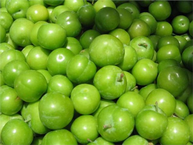 Erik: Tatl ve eki can erik seveni ok olan bir meyvedir. zellikle eki can erik sanki hi eker iermiyormu gibi bolca tketilir.    