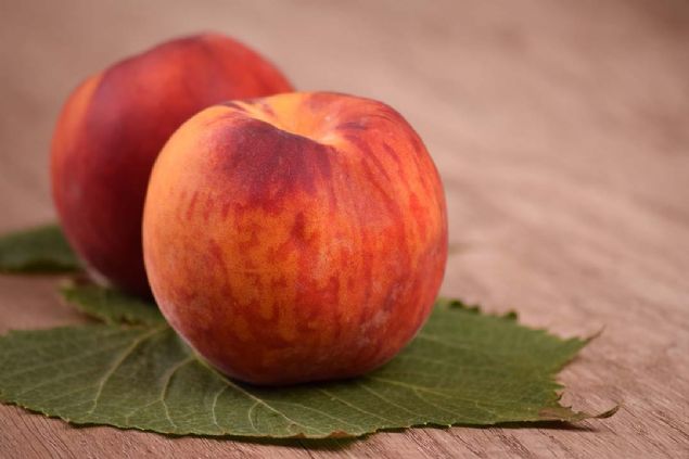 Meyve olarak tketmek istiyorsanz en iyi tketim zaman akam zeri kahvaltsnda yourt ile birliktedir.   