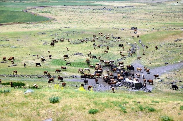 Yusuf Aln da stanbul'da yaadn, blgeyi gezmek iin Vangl Ekspresi'ni tercih ettiini anlatarak, 'Ekspresi arkadalardan duydum. nternetten aratrdm. Fiyatlarn uygun olduunu grdm. Bilet aldm.   <br><br>  Buralarda grmediim yerler var. Oralar merak ediyordum. zellikle Elaz ve Bingl'den sonra manzaralar ok gzelleiyor' diye konutu. 