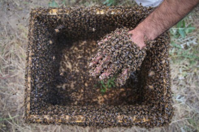 '���nc� denemem benim i�in �ok ba�ar�l� ge�ti. Hedefim 63 kilo 700 gram olan d�nya rekorunu k�rabilmek. Destek verilirse Allah'�n izniyle bu rekoru k�raca��m.' dedi.    