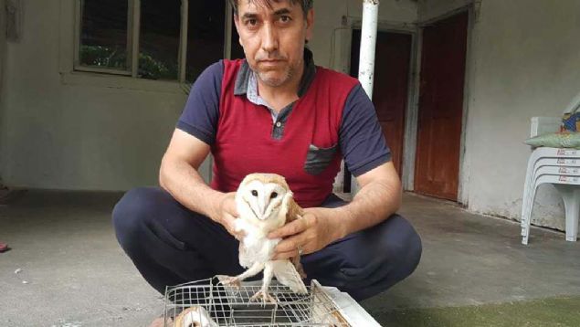 Harun Tan'n haber vermesiyle kye gelen Kadirli Orman letme Mdrlne bal Av ve Doa Koruma ubesi ekipleri puhu kularn teslim alarak koruma altna ald. 