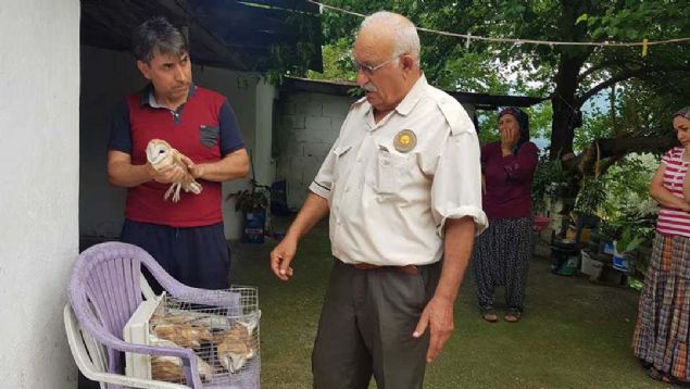 leye bal lbistanl kynde Fatma Tan'a ait evde zellikle geceleri lk sesini andran bir ses duyan mahalleliler tedirgin olmaya balad.     
