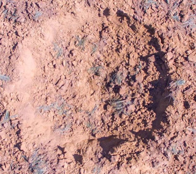 Halbach kentindeki patlamaya yol aan ise, kinci Dnya Sava srasnda atlan fakat patlamayan bir bomba.  