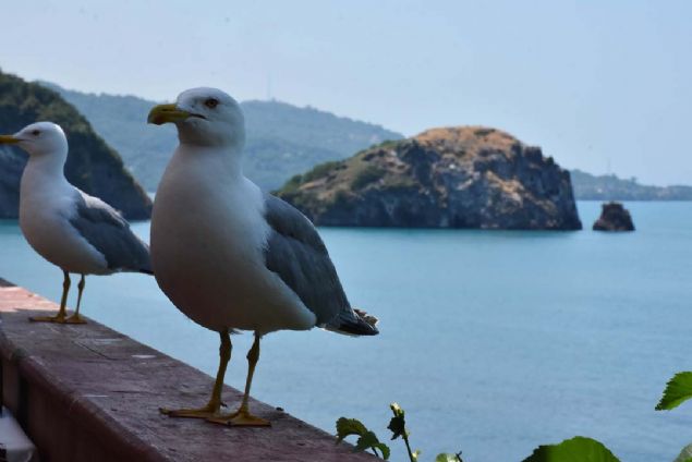 Ordu'daki rotasnda da Hoynat Adas'n grmek zere ileye geldiini dile getiren Ik, unlar kaydetti: 