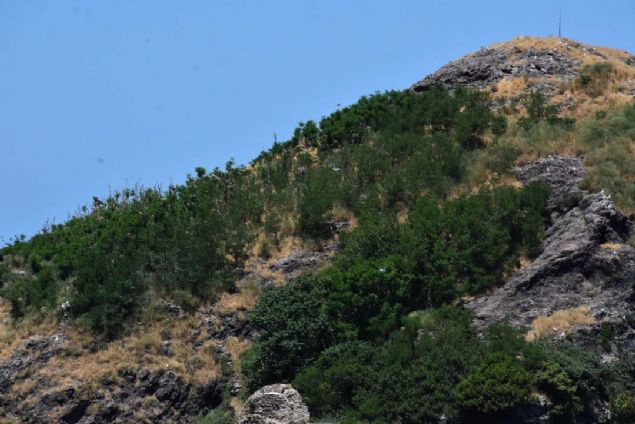 Toparlak, adann tarihi zelliinin de bulunduuna iaret ederek, 'Gemite gemilerin erzaklarnn emanete brakld, ihtiya olduunda emanetlerin gelip buradan alnd bir mola ve konaklama noktasyd. Bu zelliini de ada, kulara feda etmi durumda...    