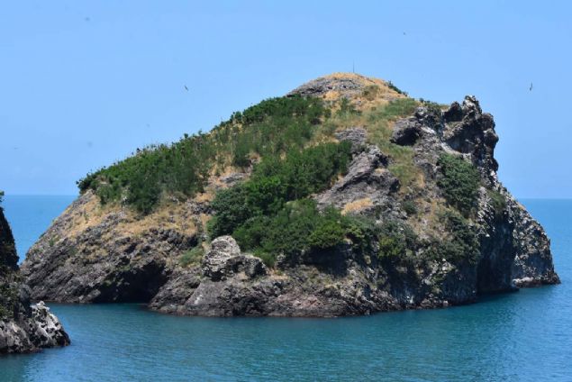 Adaya giri klarn, dardan mdahalelerin durdurulduunu belirten Toparlak, kularn adada remesi, gelimesi ve oalmas iin gerekli tedbirlerin alndn syledi. 