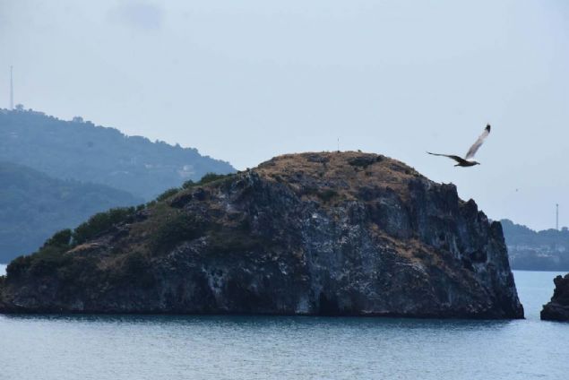 Kltr ve Turizm l Mdr Uur Toparlak, AA muhabirine yapt aklamada, Ordu'nun turizm potansiyeli asndan zengin bir il olduunu syledi.     