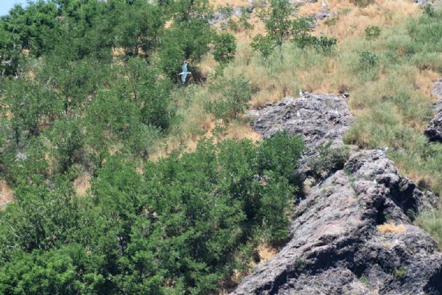 'UNESCO iin bir alma balattk'  <br><br>  Adann fiziki yapsyla da dikkati ektiini kaydeden Toparlak, 'nallah nmzdeki dnemlerde bu gzellikleri UNESCO'ya tayacaz...   