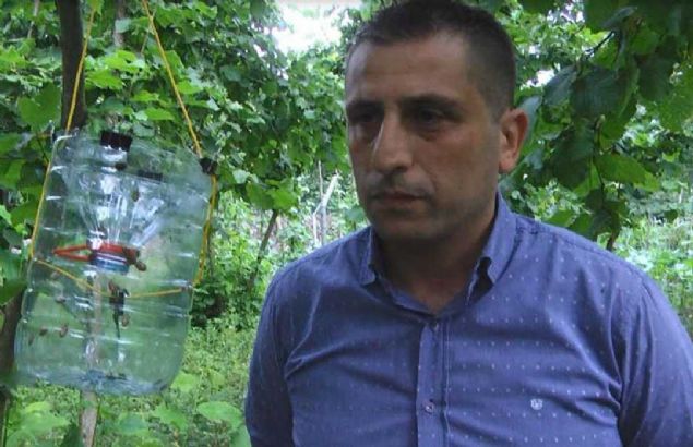 Bakanl�kta biyolojik m�cadele anlam�nda �al��malar devam ediyor. Bu zararl� ile m�cadele T�rk ekonomisi i�in �ok �nemli. Sadece f�nd��a zarar vermiyor. F�nd�k d���nda meyve ve sebzelere de zarar verdi�i tespit edildi...   