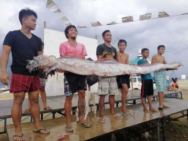 K�rek bal�klar� okyanuslar�n en ilgin� canl�lar�ndan.   <br><br>  D�nyan�n pek �ok farkl� b�lgesindeki deniz canavar� efsanelerine de konu olmu�.  <br><br>  K�rek bal��� okyanuslar�nda ya��yor ve �l�man, s�cak sular� tercih ediyor. �zellikle de Bat� Pasifik sular�nda ya��yor. 