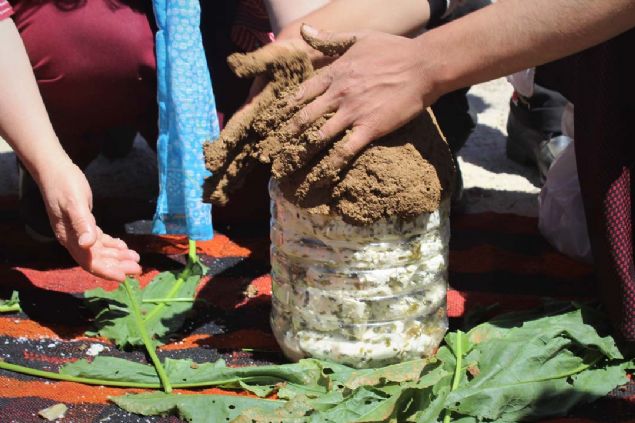 Tam kuruyan peynir, tekrar tuzlanarak bir bidona yerletiriliyor. Hava almamas iin bo yerler otlu cackla kapatlyor.  