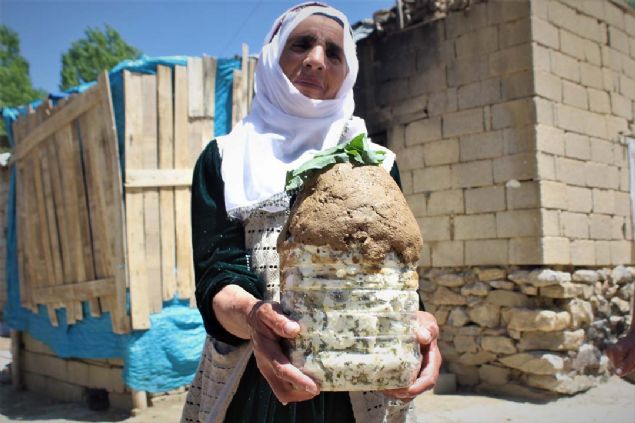 zenle doldurulan bidonun en st blgesine de istee gre bitki yapra konularak kapa kapatlyor. Kapak blgesinden havann gememesi iin de amur yardmyla kapatlyor. 