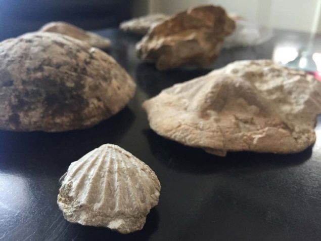 Akademisyenlerimiz, rencilerine yksek lisans ve doktora tezleri vermeliler. Kahramanmara Valilii evre ve ehircilik l Mdrl blgenin daha fazla tahrip edilmesine gz yumulmadan bir an nce tescil ederek, duyurmal... 