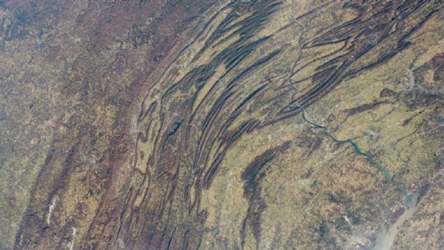 Appalachian Dalar (Kuzey Amerika)   