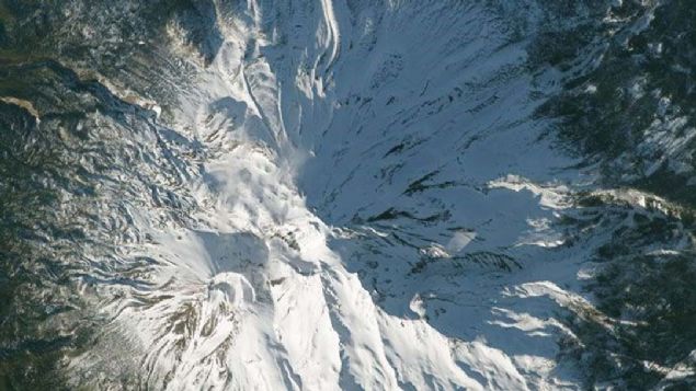 Shasta Dalar (Kaliforniya)    