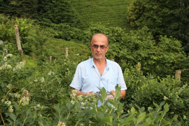 Artvin, Rize, Trabzon bazen stanbul'a kadar rn yolluyoruz. Dnyada ay dhil byle bir gelir getiren baka bir rn yok. 40 gnlk bir hasat sresinde talep edilen miktar kadar, yava yava yorulmadan topluyoruz, gzel bir i yapyoruz. ok keyif alyoruz' diye konutu.  <br><br>  (DHA) 
