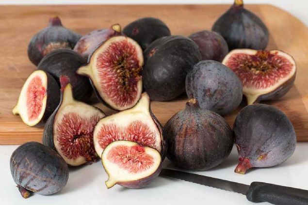 NCR 100 GR : 41 KALOR 