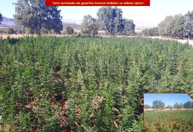 sz konusu maaralarda bulunan ok sayda yaam ve giyim malzemesinin imha edildii belirtildi.   