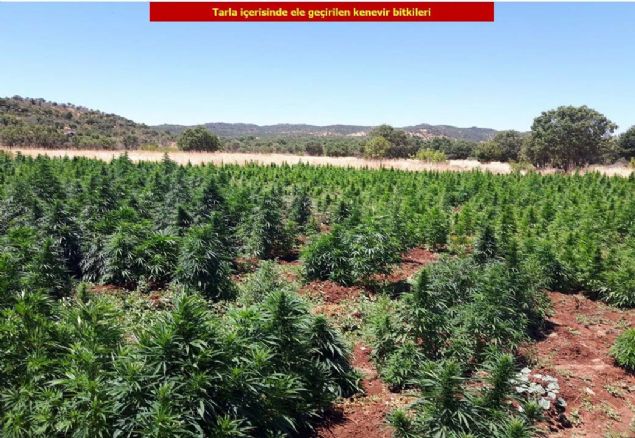 Aklamada, operasyon blgesindeki adli aramada 452 kii ve 96 aracn kontrol edildii, 