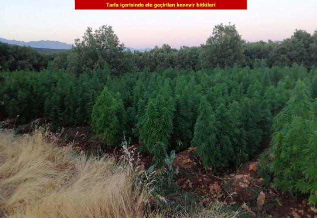 toplam 65 timin grev yapt, 2 Skorsky ve 2 Atak helikopteri ile HA'larn da destek verdii, 'Bayrak-128 ehit Jandarma Uzman avu Vedat Aykut-02 Operasyonu'nun dn saat 22.00 itibaryla baaryla tamamland ifade edilerek,    
